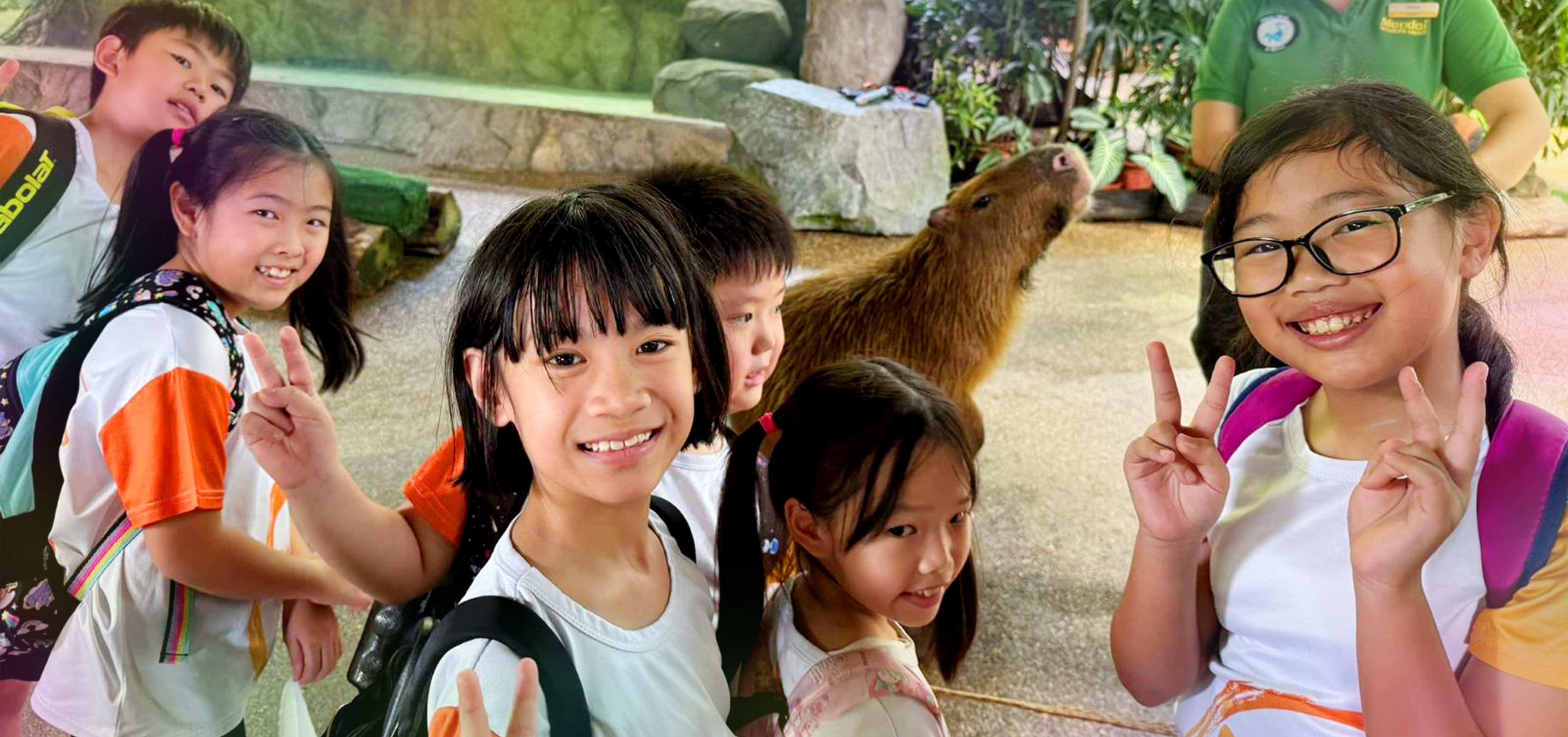 Holiday Excursion Image 5